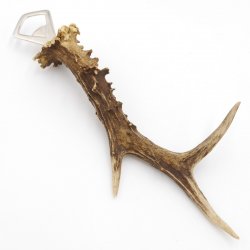 Abrebotellas con asta de ciervo Abrebotellas con cuerno de ciervo Longitud 27 cm 27.1.476