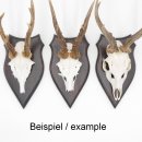 1 Stück Wappenschild AF 20 x10 cm Reh Schild Trophäenschild massivem Holz dunkel Neu