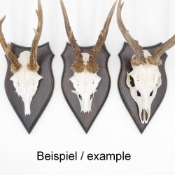 1 Stück Wappenschild AF 20 x10 cm Reh Schild Trophäenschild massivem Holz dunkel Neu