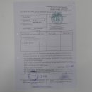 Birkhahn Hahn Ganzpräparat Präparat Höhe 70 cm mit Herkunftsnachweis 90.2.17