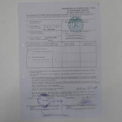 Birkhahn Hahn Ganzpräparat Präparat Höhe 70 cm mit Herkunftsnachweis 90.2.17