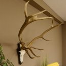 Rothirschgeweih 14 ender Hirsch H 100 cm Stangen Hirschgeweih Trophäenschild 70.988