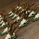 17 Stück Rehgeweihe Rehbocke Reh Bock Geweihe auf...