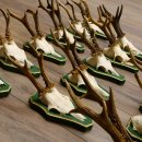 17 Stück Rehgeweihe Rehbocke Reh Bock Geweihe auf Barockschildern 22.1198