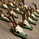 17 Stück Rehgeweihe Rehbocke Reh Bock Geweihe auf Barockschildern 22.1198