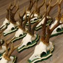 13 piezas de cuernos de corzo, corzos, corzos machos, cuernos en placas barrocas 22.1200