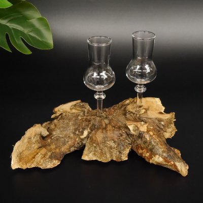 Schnapsanbieter kleine 2 Gläser mit Stiel auf Wurzel Steckglas Set Schnaps Geschenk Neu 27.60.1.53