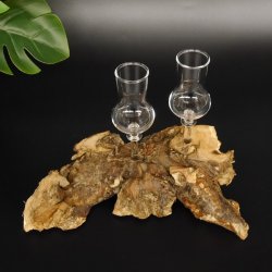 Schnapsanbieter kleine 2 Gläser mit Stiel auf Wurzel Steckglas Set Schnaps Geschenk Neu 27.60.1.53
