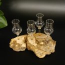 Schnapsanbieter kleine 4 Gläser mit Stiel auf Wurzel Steckglas Set Schnaps Geschenk Neu 27.60.1.63