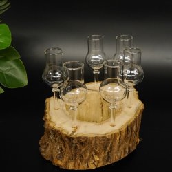 Schnapsanbieter kleine 6 Gläser mit Stiel auf Wurzel Steckglas Set Schnaps Geschenk Neu 27.60.1.64