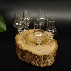 Schnapsanbieter kleine 6 Gläser mit Stiel auf Wurzel Steckglas Set Schnaps Geschenk Neu 27.60.1.64