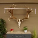 Rothirschgeweih unge. 32 ender Hirsch Gewicht 11,2 kg Höhe 132 cm Stangen Hirschgeweih 70.986