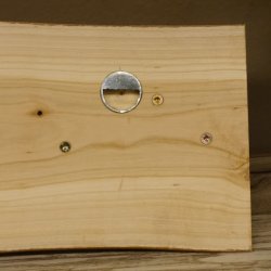 Garderobe mit 6 Gamshaken + Gamsgeweih auf Holzbrett Wandgarderobe Geweih Unikat 27.8.95