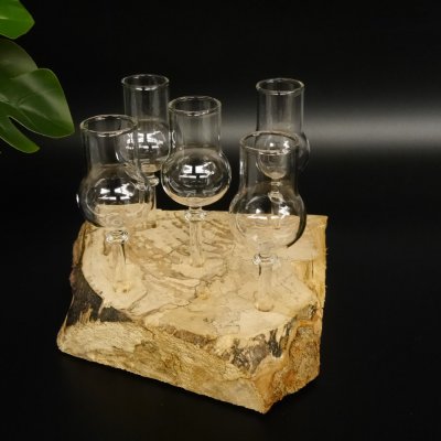 Schnapsanbieter kleine 5 Gläser mit Stiel auf Wurzel Steckglas Set Schnaps Geschenk Neu 27.60.1.79
