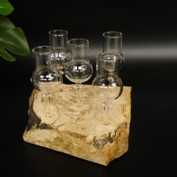 Schnapsanbieter kleine 5 Gläser mit Stiel auf Wurzel Steckglas Set Schnaps Geschenk Neu 27.60.1.79