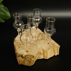 Schnapsanbieter kleine 5 Gläser mit Stiel auf Wurzel Steckglas Set Schnaps Geschenk Neu 27.60.1.79