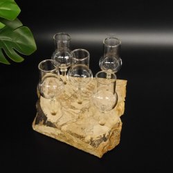 Schnapsanbieter kleine 5 Gläser mit Stiel auf Wurzel Steckglas Set Schnaps Geschenk Neu 27.60.1.79