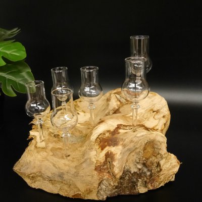 Schnapsanbieter kleine 6 Gläser mit Stiel auf Wurzel Steckglas Set Schnaps Geschenk Neu 27.60.1.83