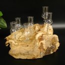 Schnapsanbieter kleine 6 Gläser mit Stiel auf Wurzel Steckglas Set Schnaps Geschenk Neu 27.60.1.83
