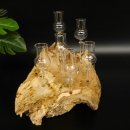 Schnapsanbieter kleine 6 Gläser mit Stiel auf Wurzel Steckglas Set Schnaps Geschenk Neu 27.60.1.83