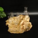 Schnapsanbieter kleine 6 Gläser mit Stiel auf Wurzel Steckglas Set Schnaps Geschenk Neu 27.60.1.83