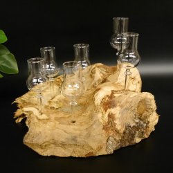 Schnapsanbieter kleine 6 Gläser mit Stiel auf Wurzel Steckglas Set Schnaps Geschenk Neu 27.60.1.83