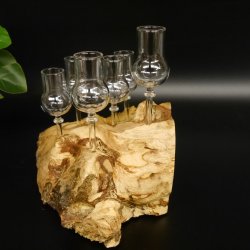 Schnapsanbieter kleine 6 Gläser mit Stiel auf Wurzel Steckglas Set Schnaps Geschenk Neu 27.60.1.83