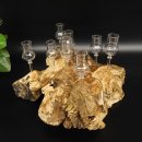 Schnapsanbieter kleine 8 Gläser mit Stiel auf Wurzel Steckglas Set Schnaps Geschenk Neu 27.60.1.86