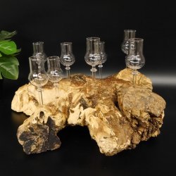 Schnapsanbieter kleine 8 Gläser mit Stiel auf Wurzel Steckglas Set Schnaps Geschenk Neu 27.60.1.86