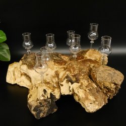 Schnapsanbieter kleine 8 Gläser mit Stiel auf Wurzel Steckglas Set Schnaps Geschenk Neu 27.60.1.86