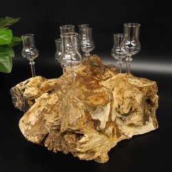 Schnapsanbieter kleine 8 Gläser mit Stiel auf Wurzel Steckglas Set Schnaps Geschenk Neu 27.60.1.86