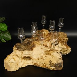 Schnapsanbieter kleine 8 Gläser mit Stiel auf Wurzel Steckglas Set Schnaps Geschenk Neu 27.60.1.86