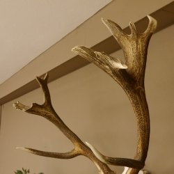 Rothirschgeweih Kronenhirsch ung. 16 ender Hirsch Höhe 103 cm Stangen Hirschgeweih