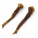 Reh Geweih Stangen Paar Rehstangen 2 Stück Länge 12 cm 14.2.429