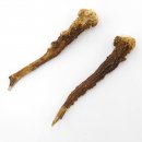 Reh Geweih Stangen Paar Rehstangen 2 Stück Länge 12 cm 14.2.429