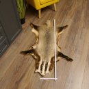 Dachsfell Dachs Fell Decke Fellvorleger Länge 115 cm 87.26.5