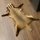 Dachsfell Dachs Fell Decke Fellvorleger Länge 115 cm 87.26.5