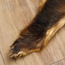 Dachsfell Dachs Fell Decke Fellvorleger Länge 115 cm 87.26.5