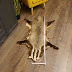 Dachsfell Dachs Fell Decke Fellvorleger Länge 115 cm 87.26.5