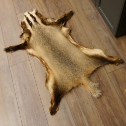 Dachsfell Dachs Fell Decke Fellvorleger Länge 115 cm 87.26.5