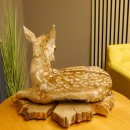 Rehkitz Präparat liegend Breite 47 cm Damhirsch Reh Kitz Tierpräparat 89.11.72