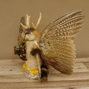 Wolpertinger Wolpi Präparat Rehgeweih Stock Flügel Holzpfeife hellblaue Augen Höhe 36 cm Fabelwesen Gaudi Geschenk