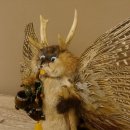 Wolpertinger Wolpi Präparat Rehgeweih Stock Flügel Holzpfeife hellblaue Augen Höhe 36 cm Fabelwesen Gaudi Geschenk