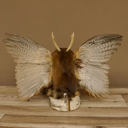 Wolpertinger Wolpi Präparat Rehgeweih Stock Flügel Holzpfeife hellblaue Augen Höhe 36 cm Fabelwesen Gaudi Geschenk