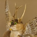 Wolpertinger Wolpi Präparat Rehgeweih Stock Flügel Laterne hellgrüne Augen Höhe 42 cm Fabelwesen Gaudi Geschenk