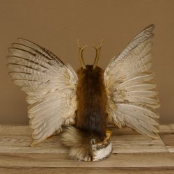 Wolpertinger Wolpi Präparat Rehgeweih Stock Flügel Laterne hellgrüne Augen Höhe 42 cm Fabelwesen Gaudi Geschenk