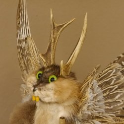 Wolpertinger Wolpi Präparat Rehgeweih Stock Flügel Laterne hellgrüne Augen Höhe 42 cm Fabelwesen Gaudi Geschenk