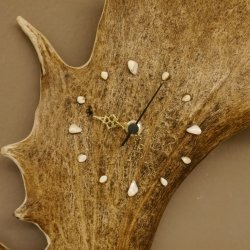 Damhirschstange Uhr große kapitale Geweihstange Abwurfstange mit Uhrwerk