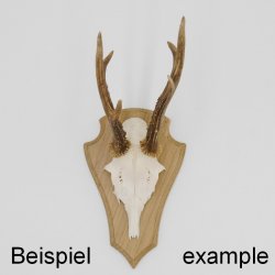Trophäenschilder Reh 10 Stück Spitz AF 21 cm x 13 cm Eiche hell + Montageklammer GTKv50.73-10+K