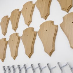 Trophäenschilder Reh 10 Stück Spitz AF 21 cm x 13 cm Eiche hell + Montageklammer GTKv50.73-10+K